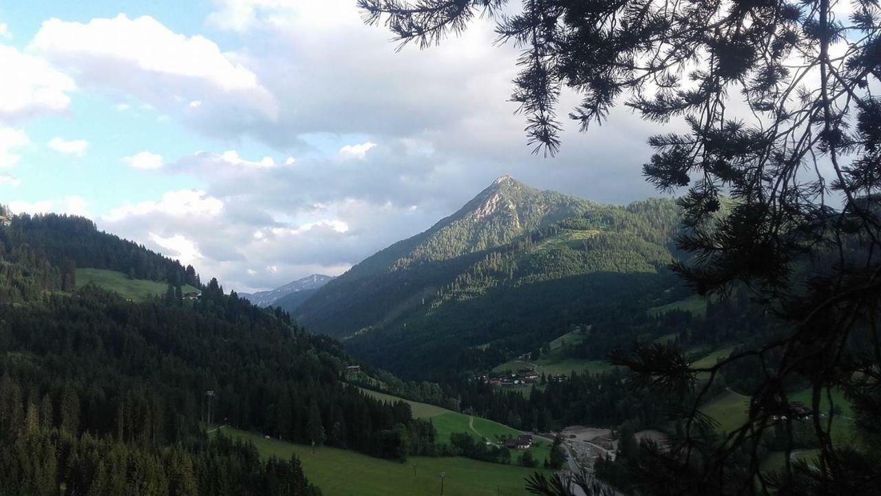 Appartement Bettina Mitterwallner Altenmarkt im Pongau Bagian luar foto